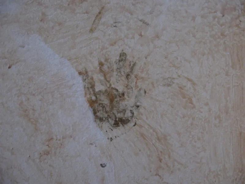 Mural work by Annette Colgrove — 35